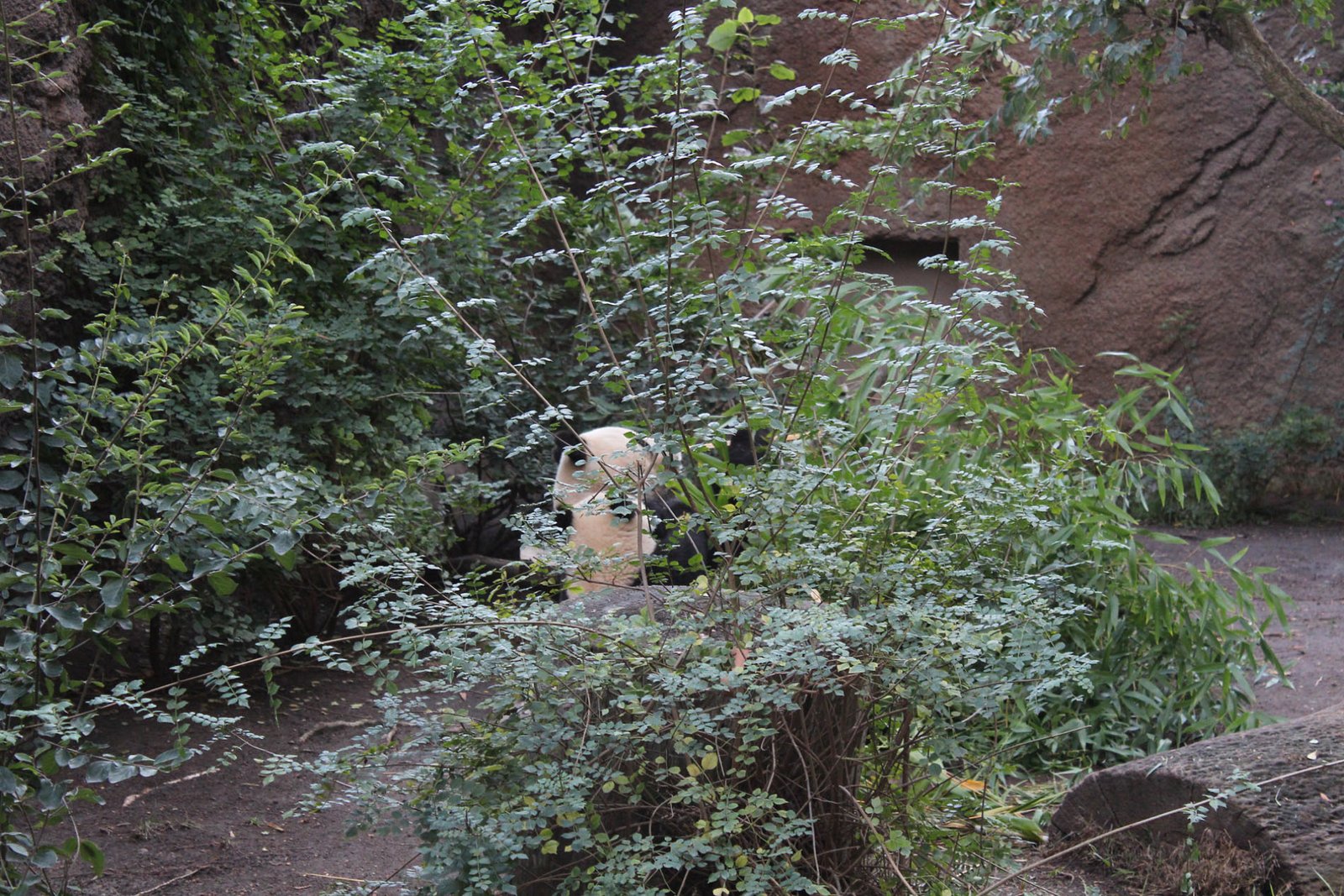 San Diego Zoo Part II 182